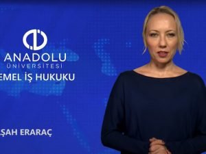 İş Hukuku